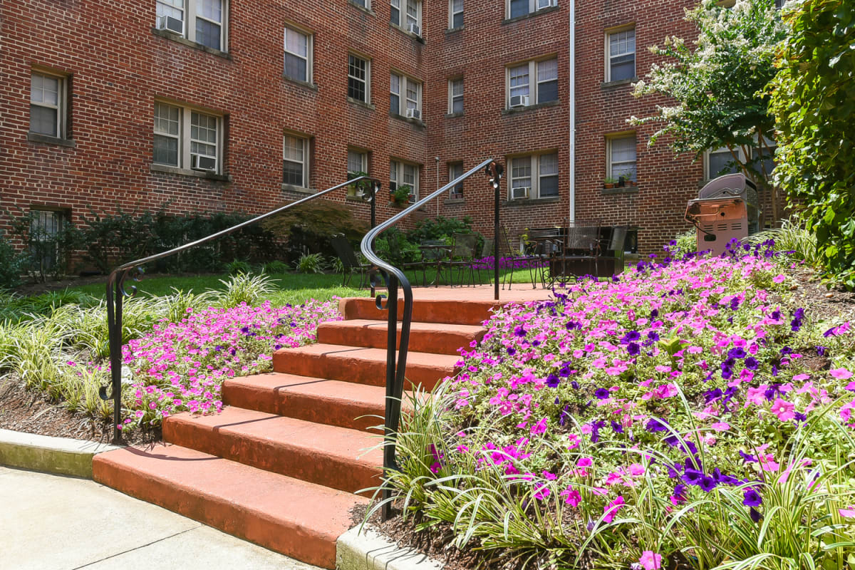 photos-and-video-of-meridian-park-in-washington-dc